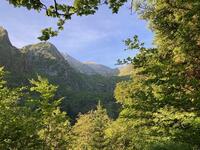 la foret s'ouvre la foret s'ouvre